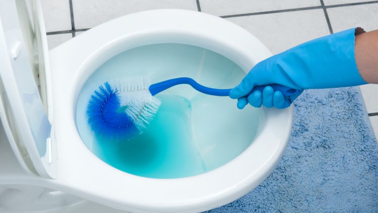 How To Prevent Hard Water Stains In Toilet
