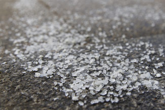 Bulk Salt Prices