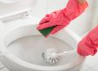 Prevent Pink Rings In Toilet