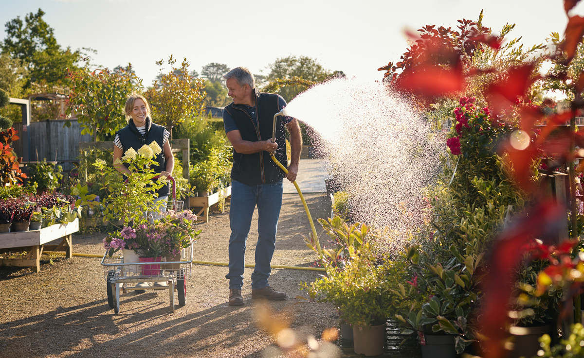 Mature Man And Woman Working Outdoors In Garden Centre Watering